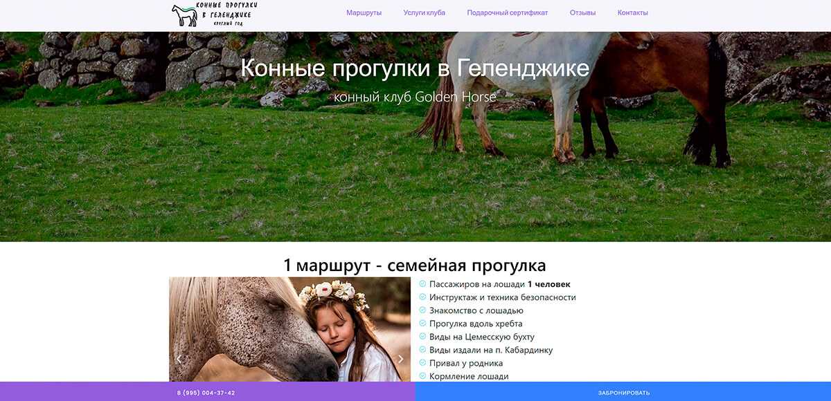 Кейс: Golden Horse — Конный клуб и экскурсионные маршруты в Геленджике
